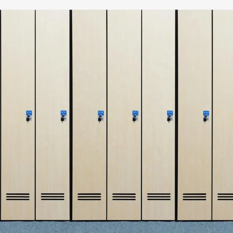 custom.DEBO Modern Gym Locker HPL Material 2-Tier 12-Door Durable Waterproof Locker