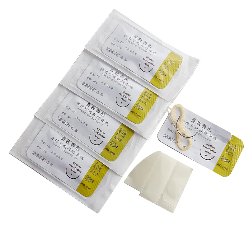 Absorbable Suture Thread Medical Needle Suture Nylon Monofilament Thread Surgical Practice Kit Teaching Demonstrations Exercises