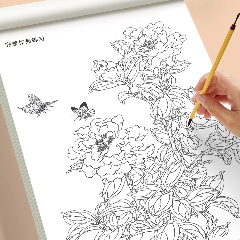 Chinese Line Drawing Copybook Beginner Flowers Birds Landscape Manuscript Meticulous Painting Control Pen Practice Sketchbook