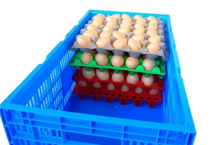 1xPlastic Egg Crate+8xEgg Holder Stackable 30 Hole Movable Plastic Crate for Chicken Poultry Farming Packing and Transportation