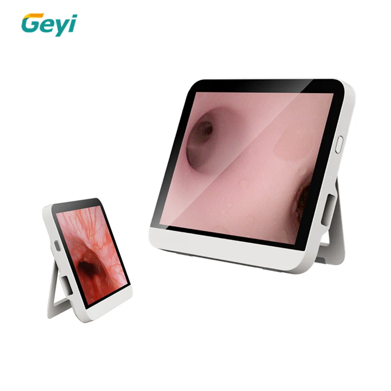 Geyi Single Use Digital Video Flexible Ureteroscope Price Disposable Portable Urology Ureteroscope