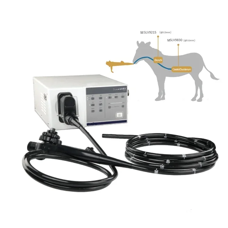 flexible veterinary endoscope price Big animal use 2.8mm video endoscope for horse