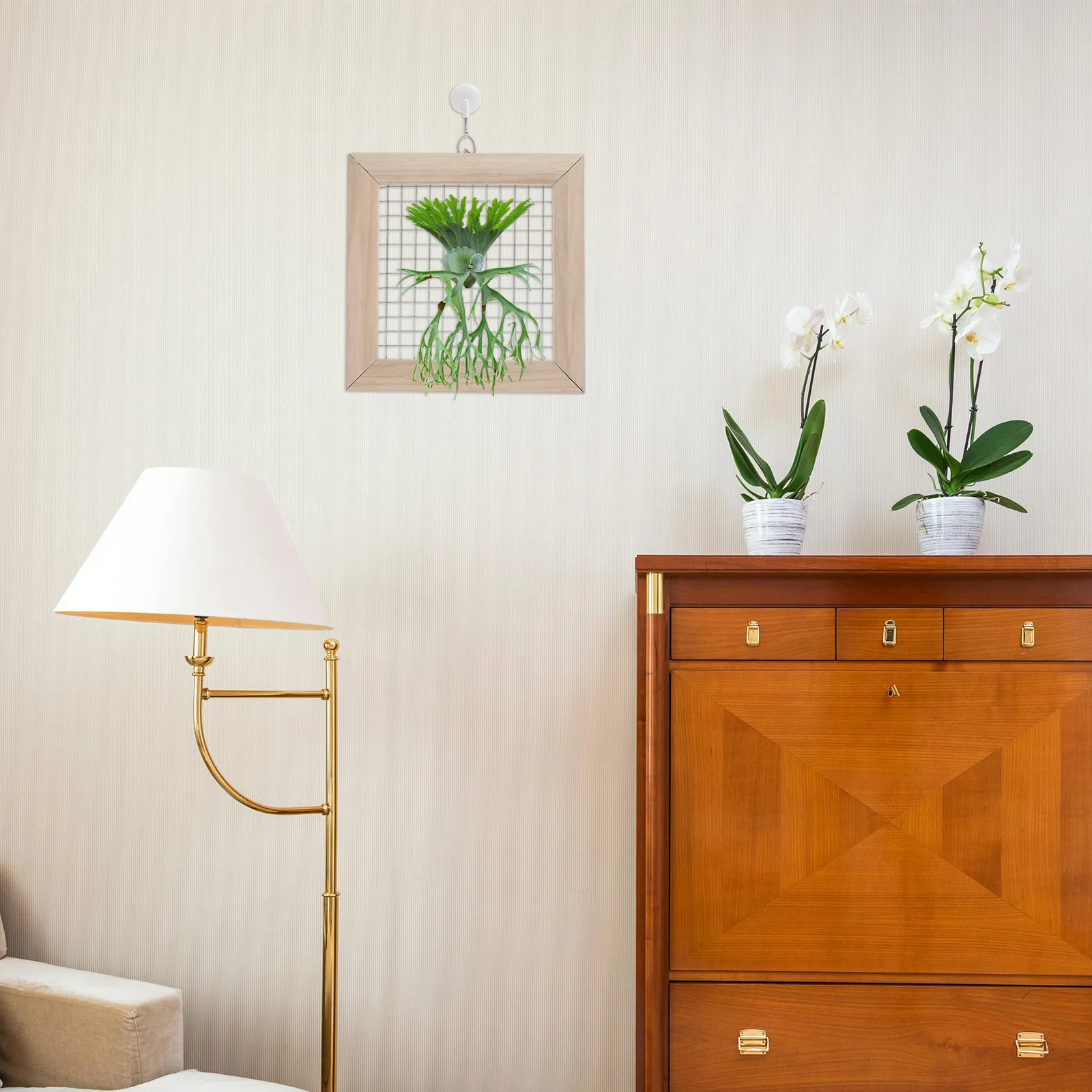 

Деревянный держатель для воздушных растений с сетчатой рамкой из нержавеющей стали для тилландсий и папоротников, настенный, для декора интерьера гостиной