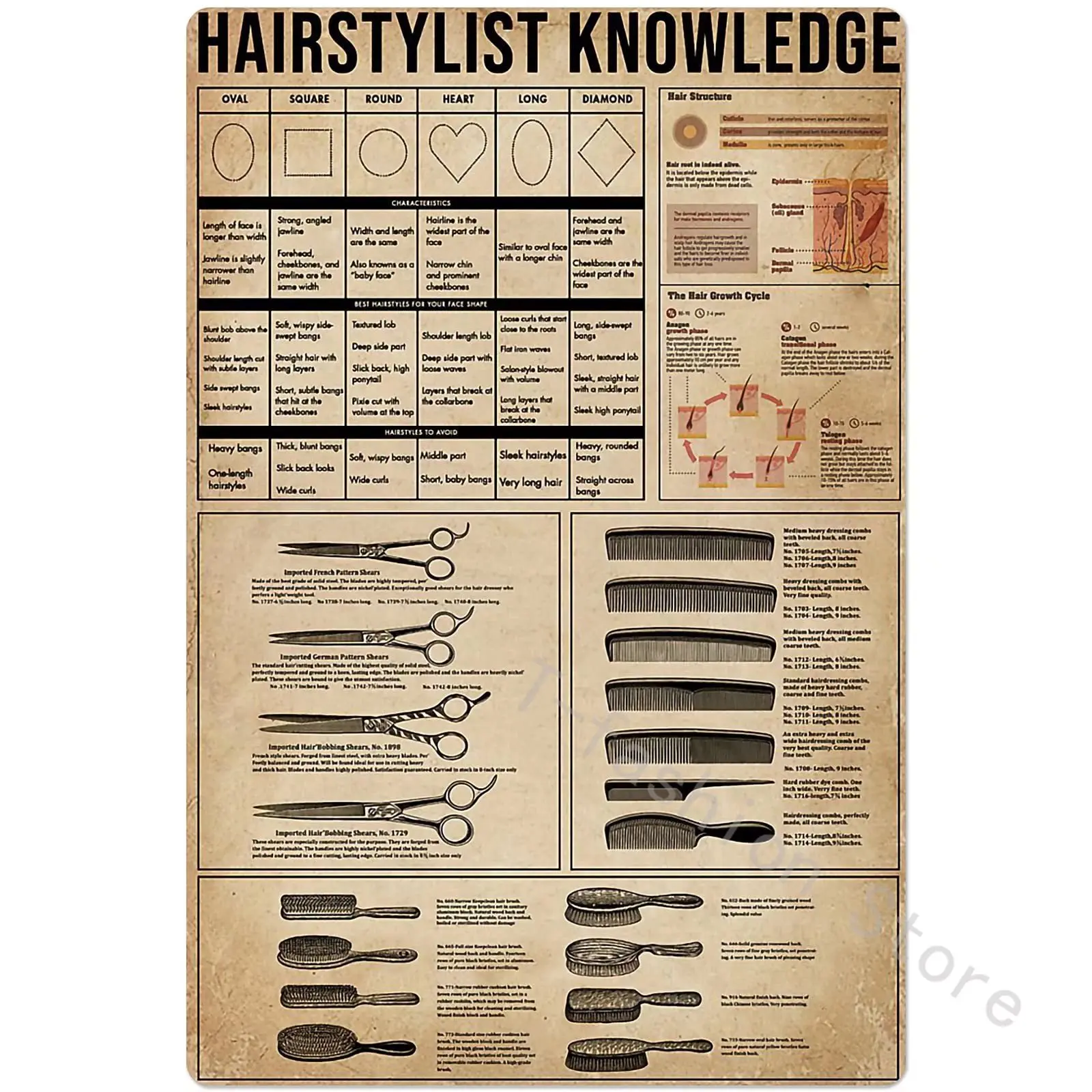 A Hairstylist Knowledge Metal Tin Sign Barber Tools Chart Poster Barber Shop Club Home Wall Decoration Plaque