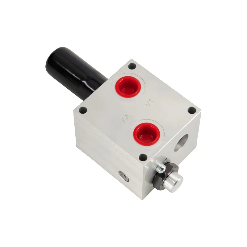 

Valve Dual Holding 4640862 for JLllG Aerial Work Platform Parts Lift Parts