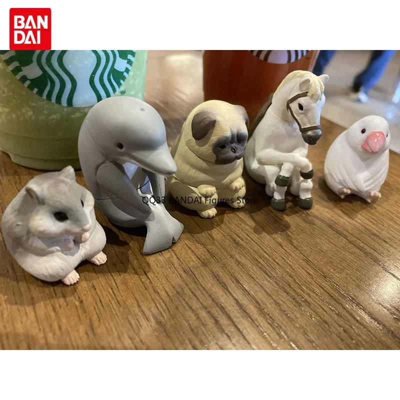 BANDAI Cute Animals Gashapon Toys Wenniao Hamster Dolphin Horse Waiting Series Action Figures Capsule Model Surprise Gift