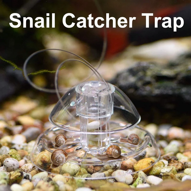 2 Pcs Snail Trap For Fish Tank Aquarium Plastic Clear Snail Trap Aquarium Plants Planarian Leech Catcher 6Cm