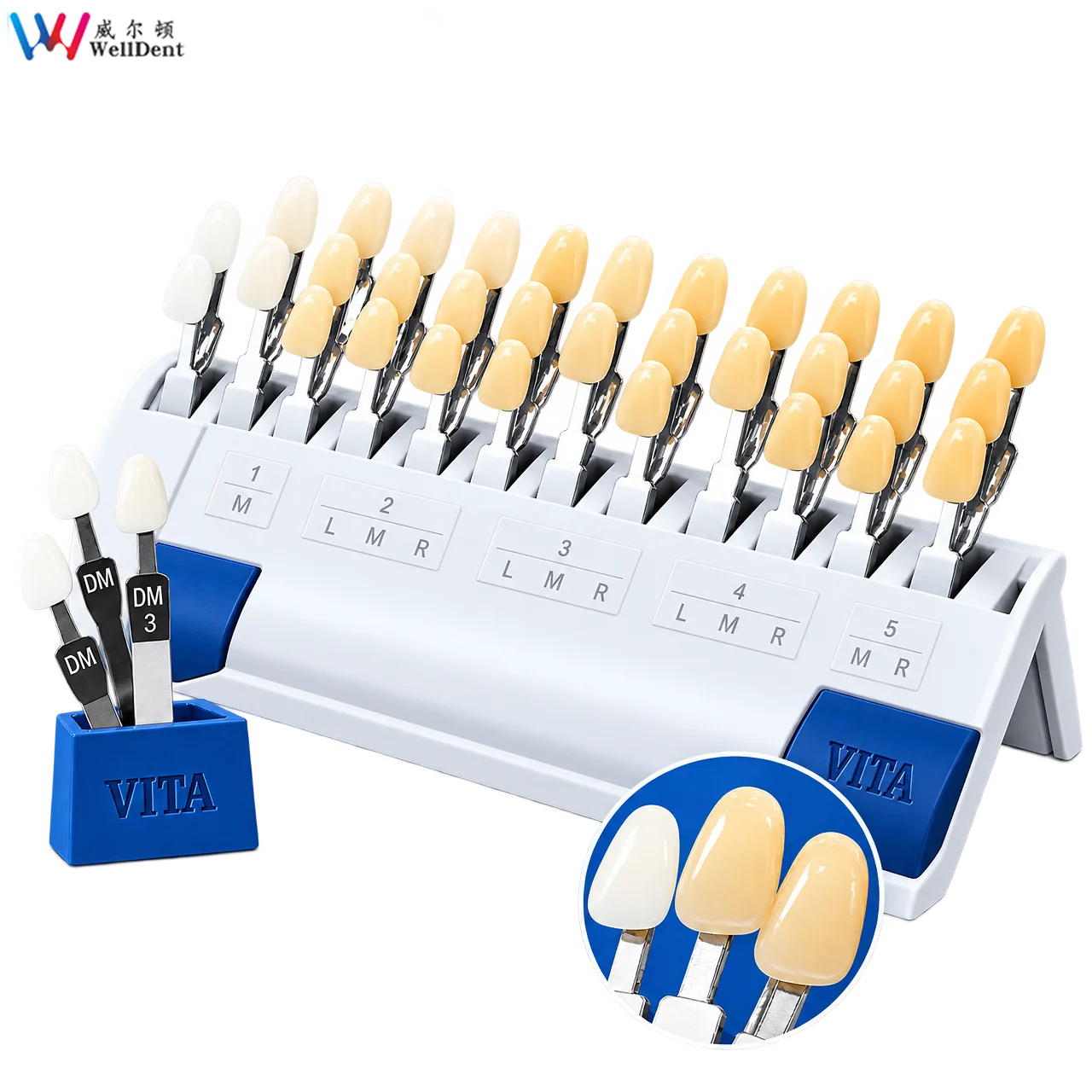Premium Vita 3D Master Lab Bleach Shade Guide 29 Colors Teeth Whitening Comparing Toothguide Lab Colorimetric Plate Best Tool