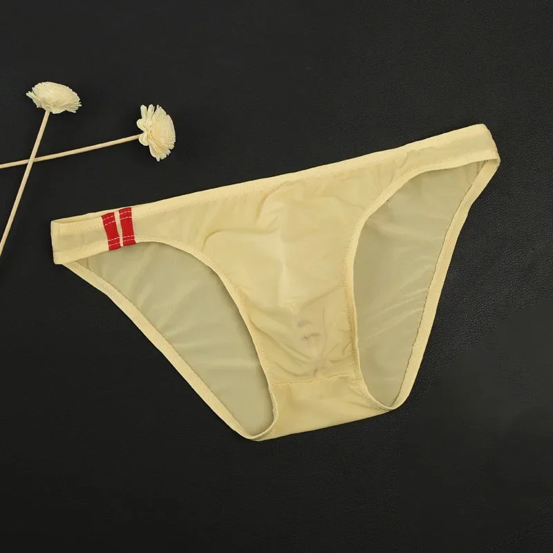 

Men's Sexy Breathable Underwear See Through Briefs Low Rise Trunks Erotic Lingerie Gay Sissy Bulge Pouch Underpants