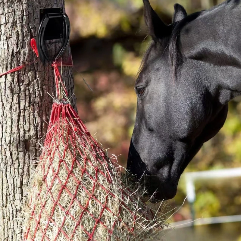 2 قطعة حلقات التعادل المعدنية الصلبة أداة العناية بالخيول حدوة الحصان الصلبان العلاقات أسفل حلقات الربط لاستخدام الفروسية سهلة #3