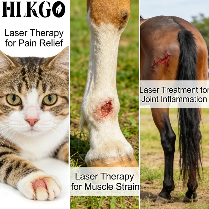 

Medical Grade Class IV 5W Veterinary Laser Device, 808nm Deep Tissue Therapy for Dogs Cats Horses Wound Healing Tendonitis
