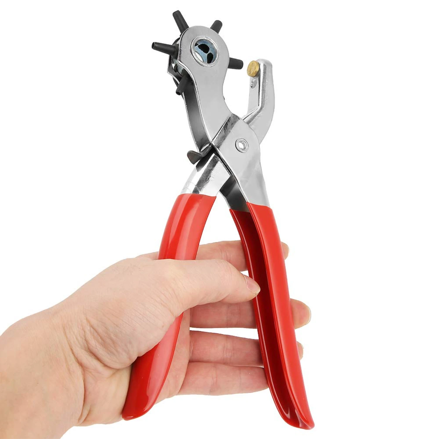 

or any DIY enthusiast's toolkit.
