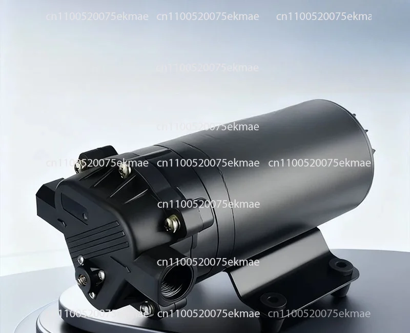 14kg High Pressure Booster Pump for Car Wash Coffee Machine Floor Heating Flush