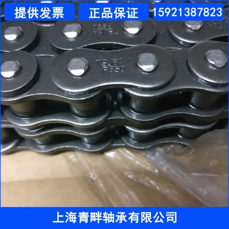 Chain RS35 40 50 60 80-2-RP Double Row Industrial