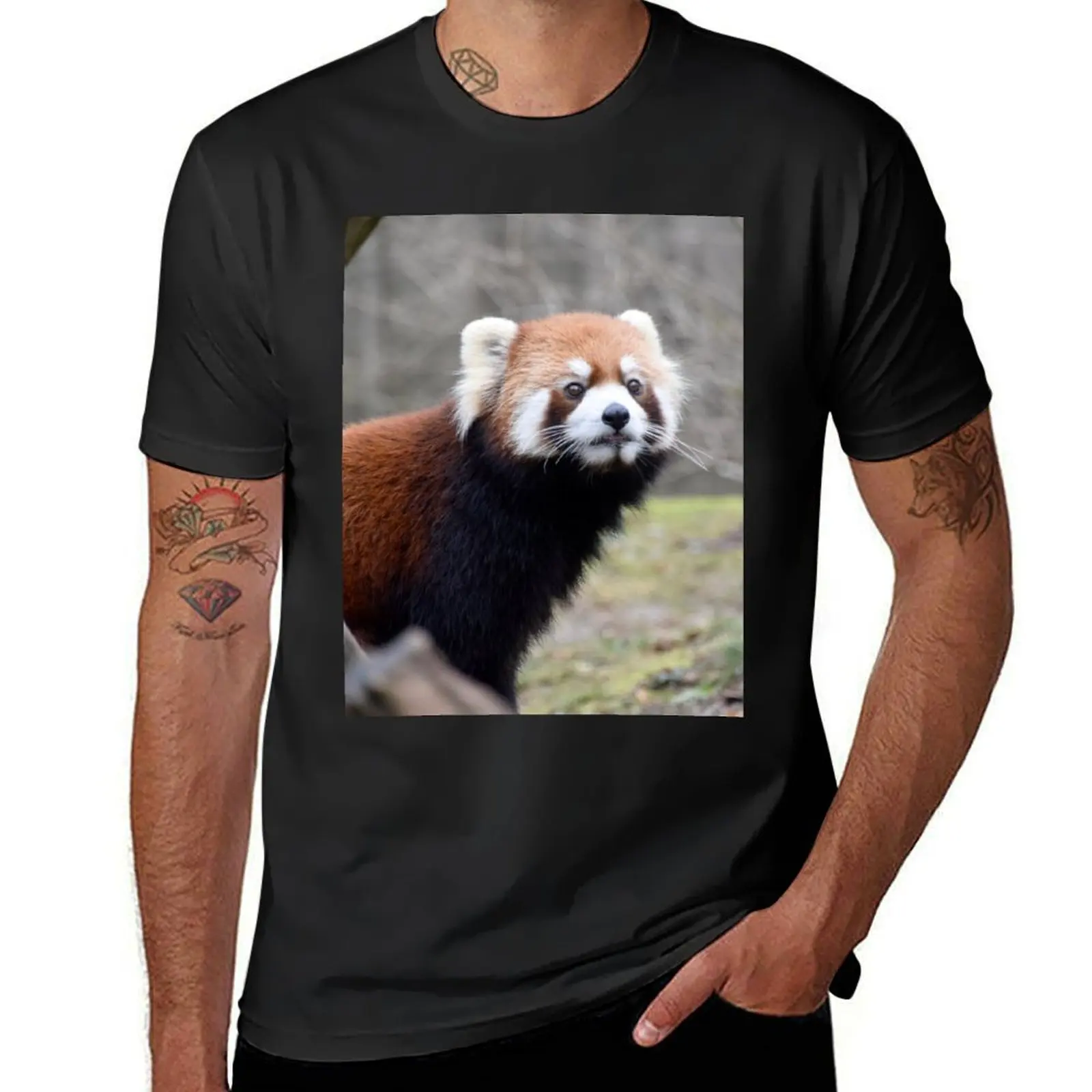 Red Panda at the Cincinnati Zoo T-Shirt Blouse summer tops for a boy summer clothes Men's clothing
