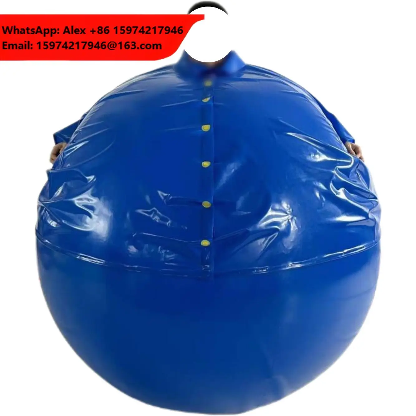 Factory Customize High Quality Adult Balloon Inflation Blueberry Suit With Digital Printing Waterproof For Role Play