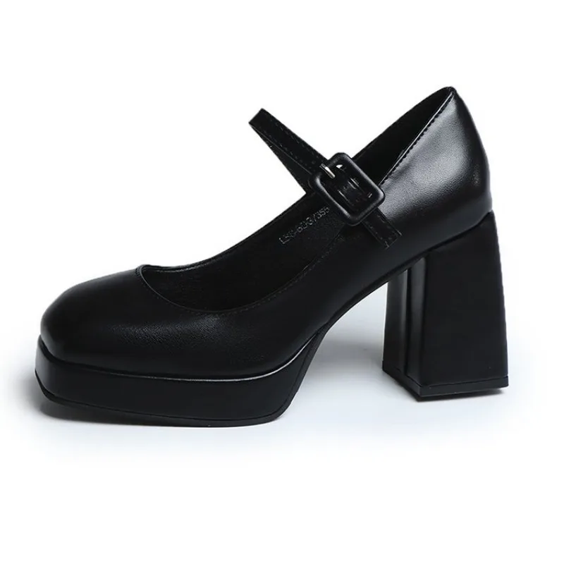 High Heels Mary Jane Shoes Women 2024 Spring New Fashion Chunky Platform Pumps Woman Ankle Buckle Party Lolita Shoes Plus Size