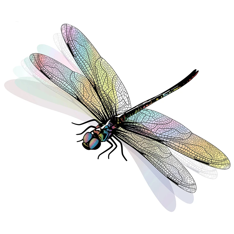 T353 # realistische Insekten Libelle Wanda uf kleber Bad Toilette Wohnzimmer Schrank Kühlschrank Home Decoration Aufkleber – Detail 4
