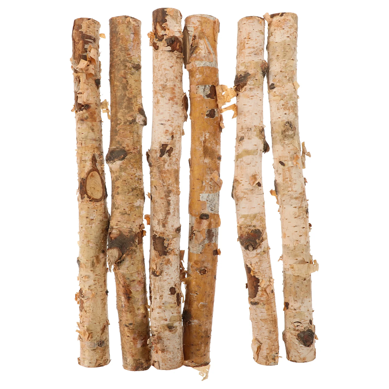 6 Pcs Birch Sticks Twigs for DIY Crafts Driftwood Making Accessory Natural Log Music Box