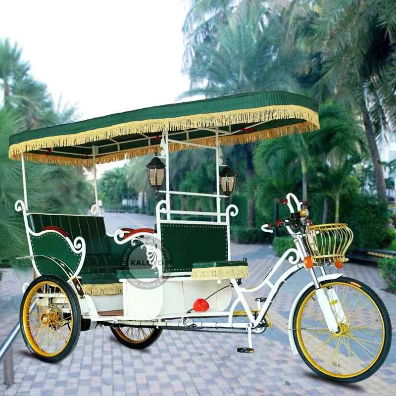 Big Power Sightseeing Three Wheel Electric Passenger Auto Rickshaw For Passengers Adult Bike Pedicab