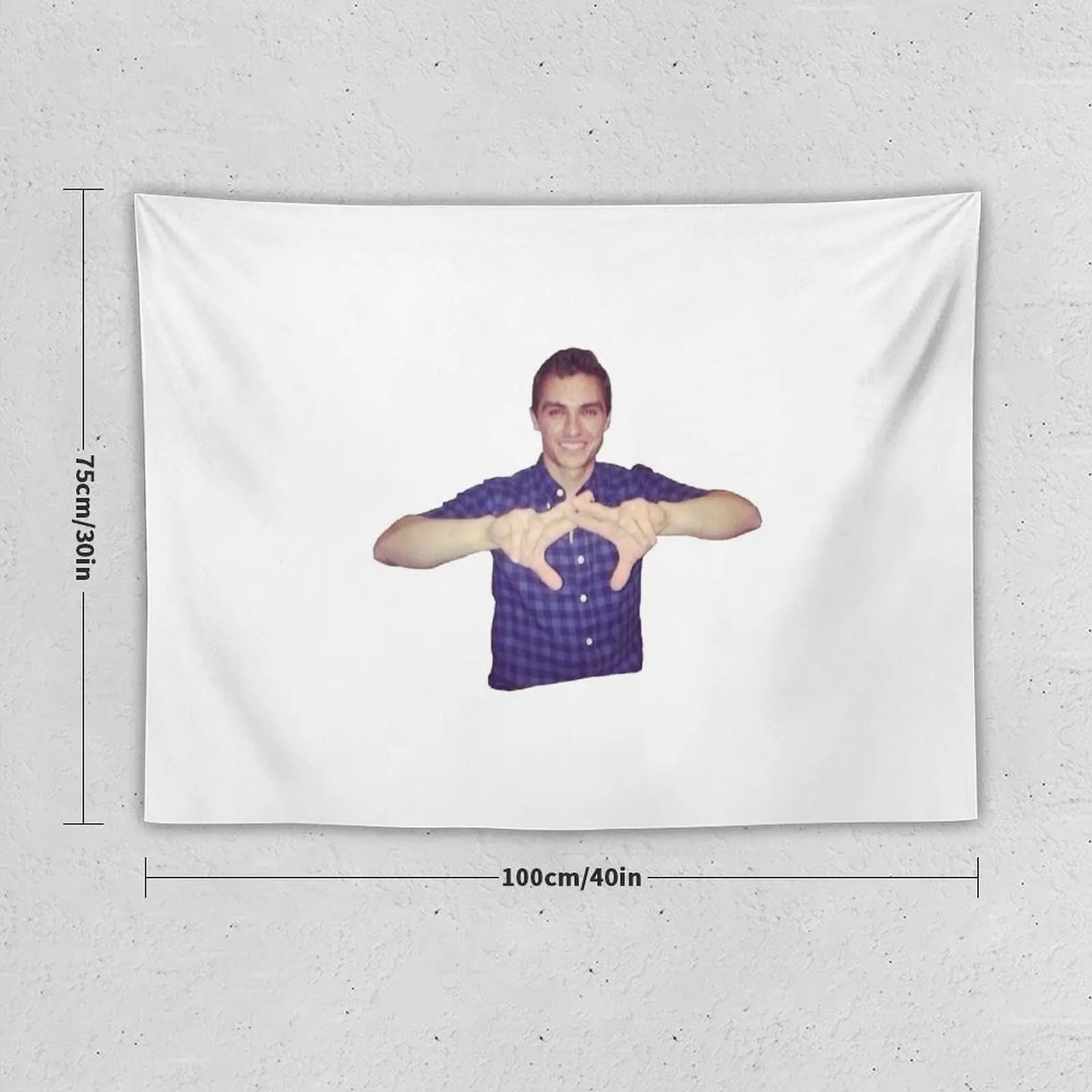 Dave Franco - Alpha Chi Tapestry Room Decorations Aesthetics Bedroom Decor Home Decorating Cute Room Things Tapestry