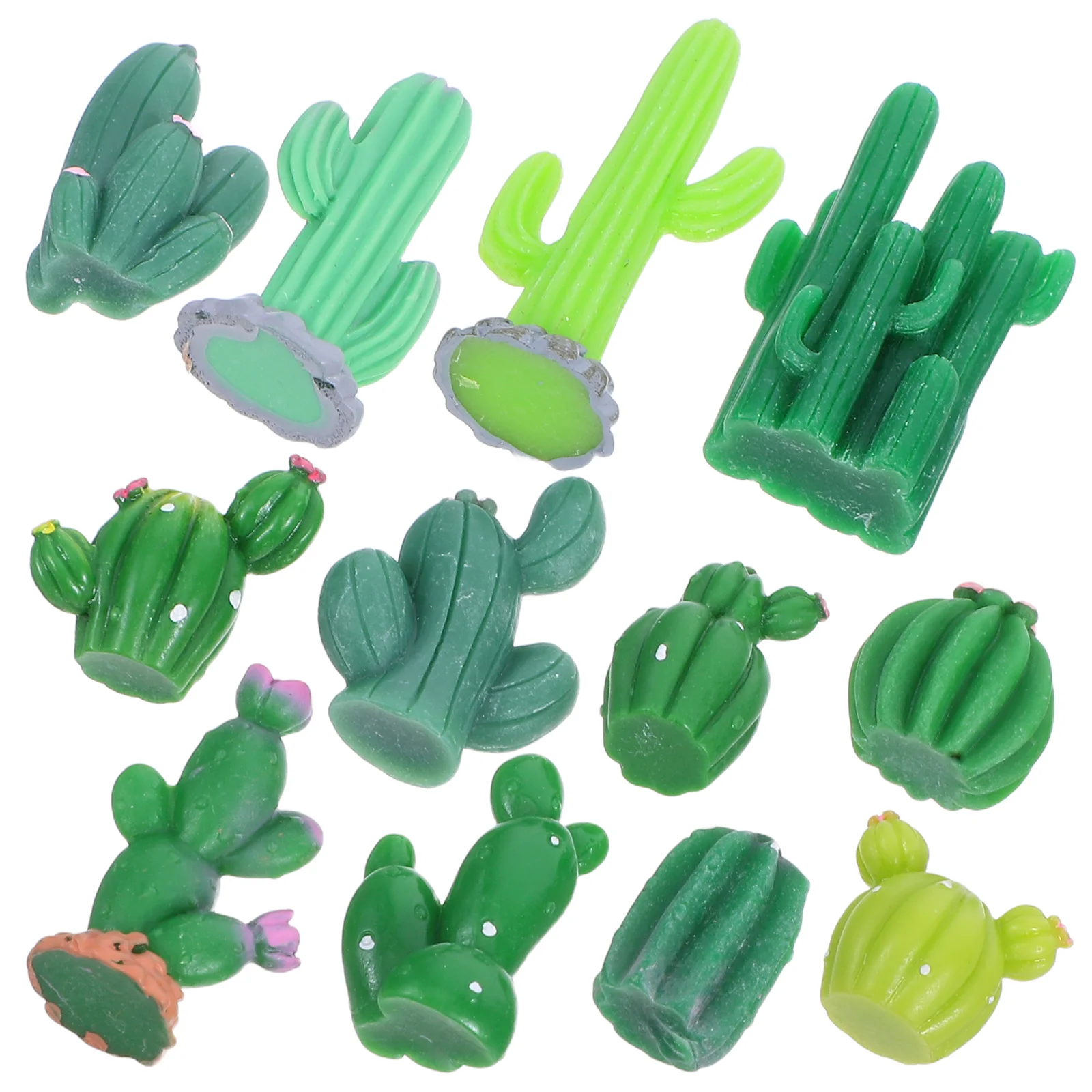 

12 Pcs Cactus Micro Landscape Bonsai Craft for Kids Desert Scene Figurine Desk Decoration Cute Desktop Ornament Mini Miniature