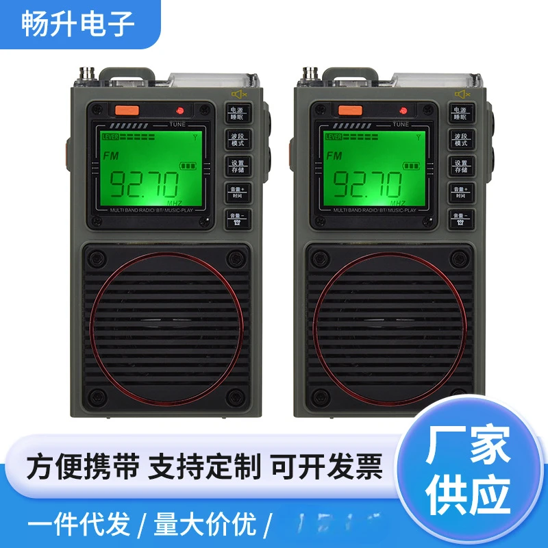 Multifunctional, portable, digital display, digital radio, music player, Walkman