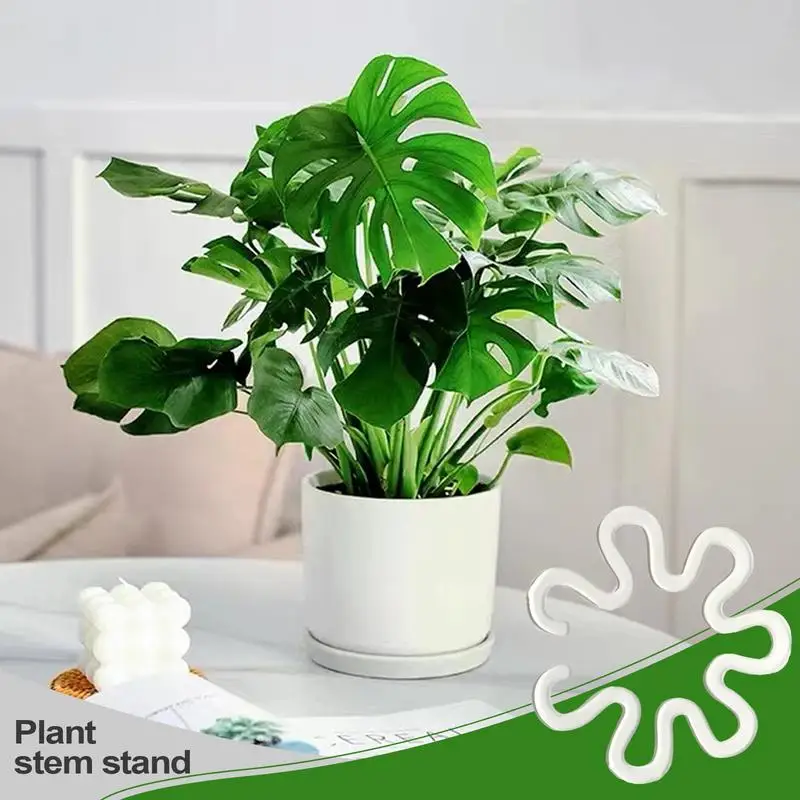 Plant Stem Support Monstera Plant Stem Holder Grapple Clear Reusable Monstera Stabilizer Grapple Holder Plant Retaining Support