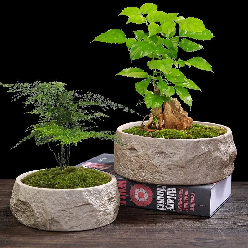 Breathable Flower Pot Faux Stone Texture Wide Flower Pot Succulent Ceramic Pottery Bonsai Planters Rustic Garden Supplies