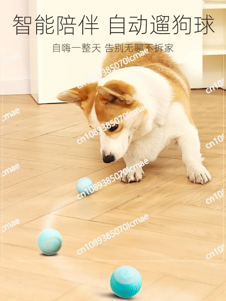 Intelligent Automatic Dog Walking Ball, Teddy Artifact, Self-pleasure Relief, Teddy, Pomeranian, Pet, Puppy