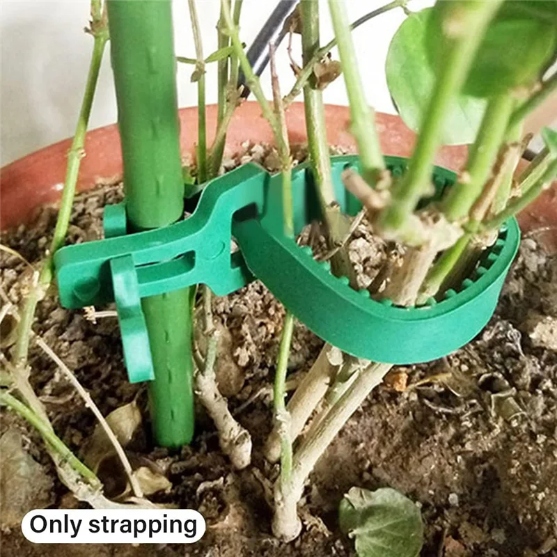 

HGFLE-24Pcs Stump Support Straps, Garden Stake Connectors, Tree Straps For Stakes, Tree Support Straps For Stumps