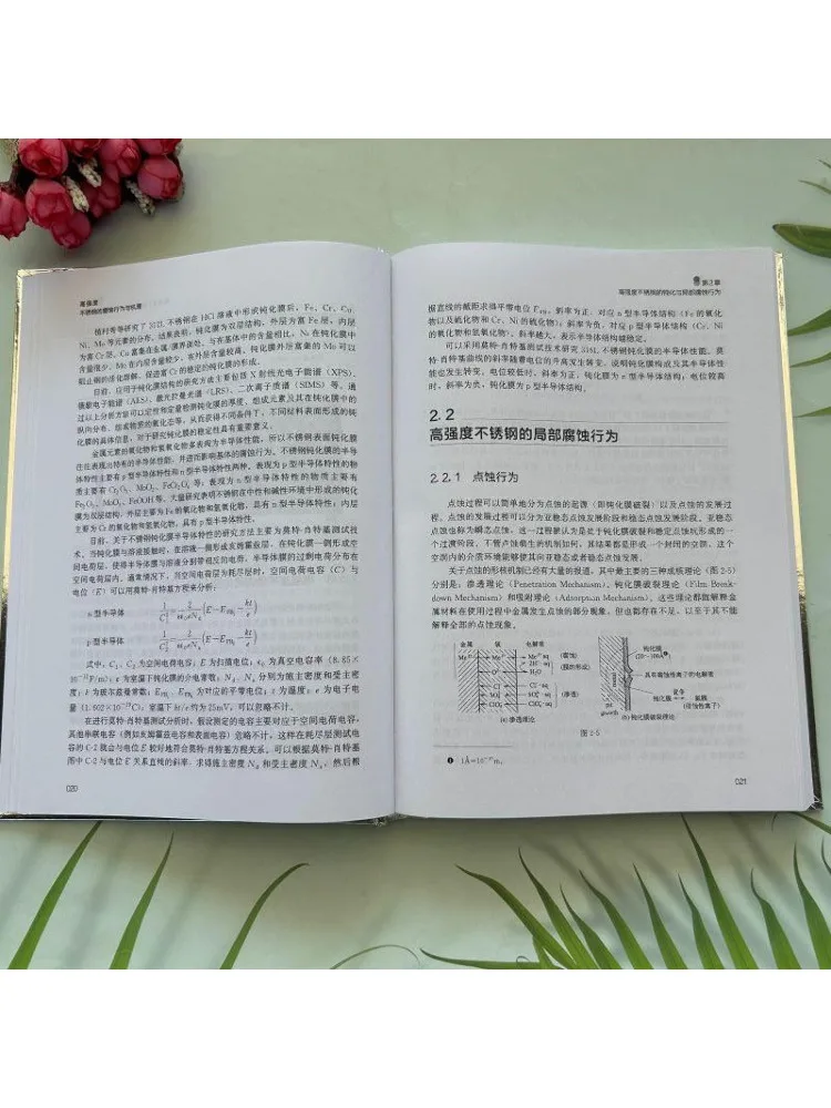 Book-Winshare Corrosion Behavior and Mechanism Of High Strength Stainless Steel