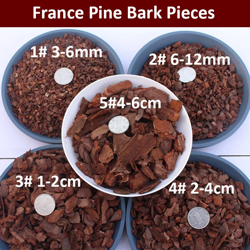 Dendrobe de corteza de pino Natural de Francia, plantas de orquídeas, fertilizante de corteza de pino zymotic, sustrato de cultivo de larga duración