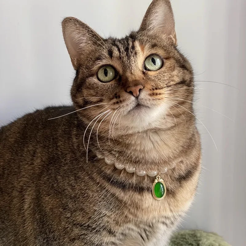 

Cute cat imitation pearl necklace, emerald pendant, cute pet collar, luxurious and fashionable style