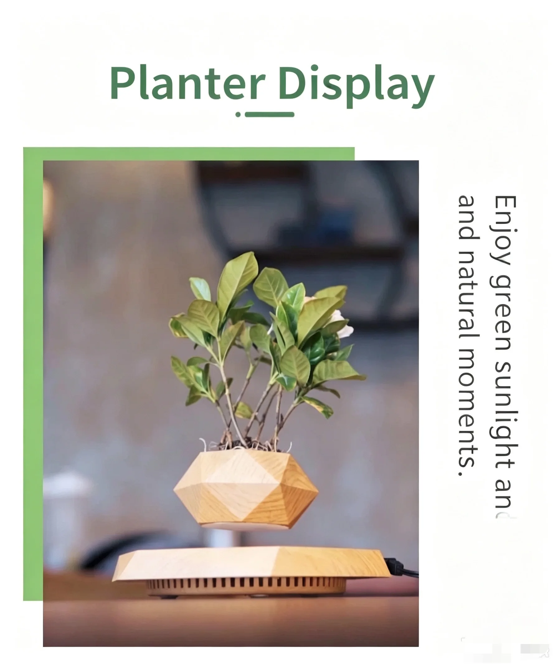 Source Manufacturer of Magnetic Levitation Potted Plants, Magnetic Levitation Flower Pots, Export Supply, Dropshipping, Free Shipping, Creative Ornaments