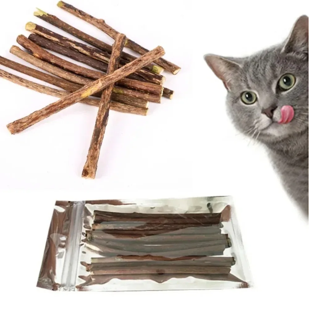 #61 Best Cat Toys to Buy In 2026