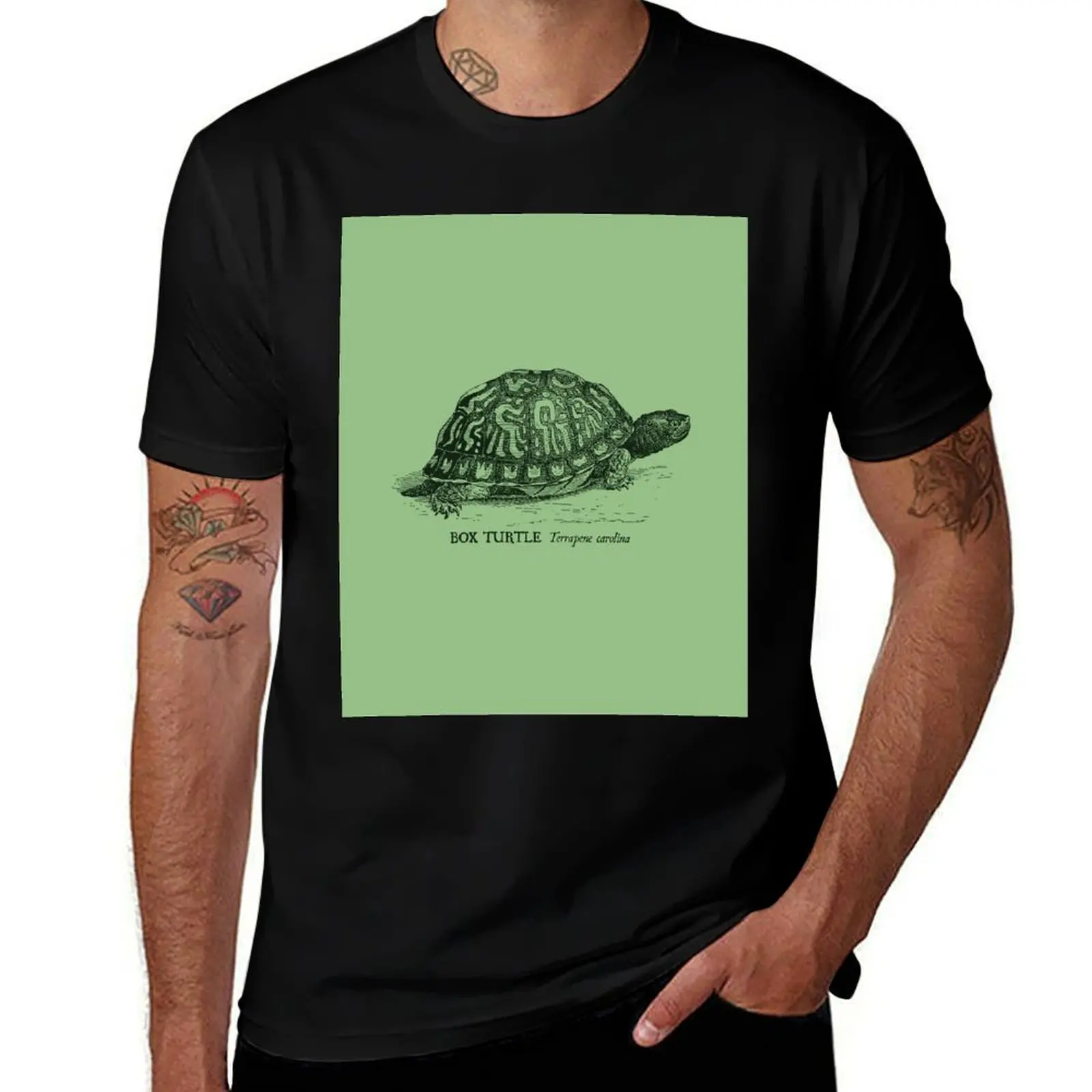 Box Turtle - Vintage scientific illustration T-Shirt Summer Sports Quick Dry T-Shirt