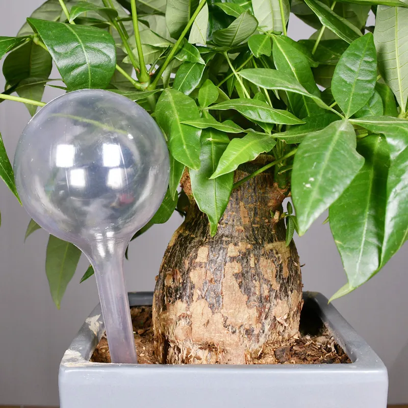 

Automatic Plant Waterer Garden Watering Device Self-Watering Globes for Plants Flowers Plastic Drip Irrigation System