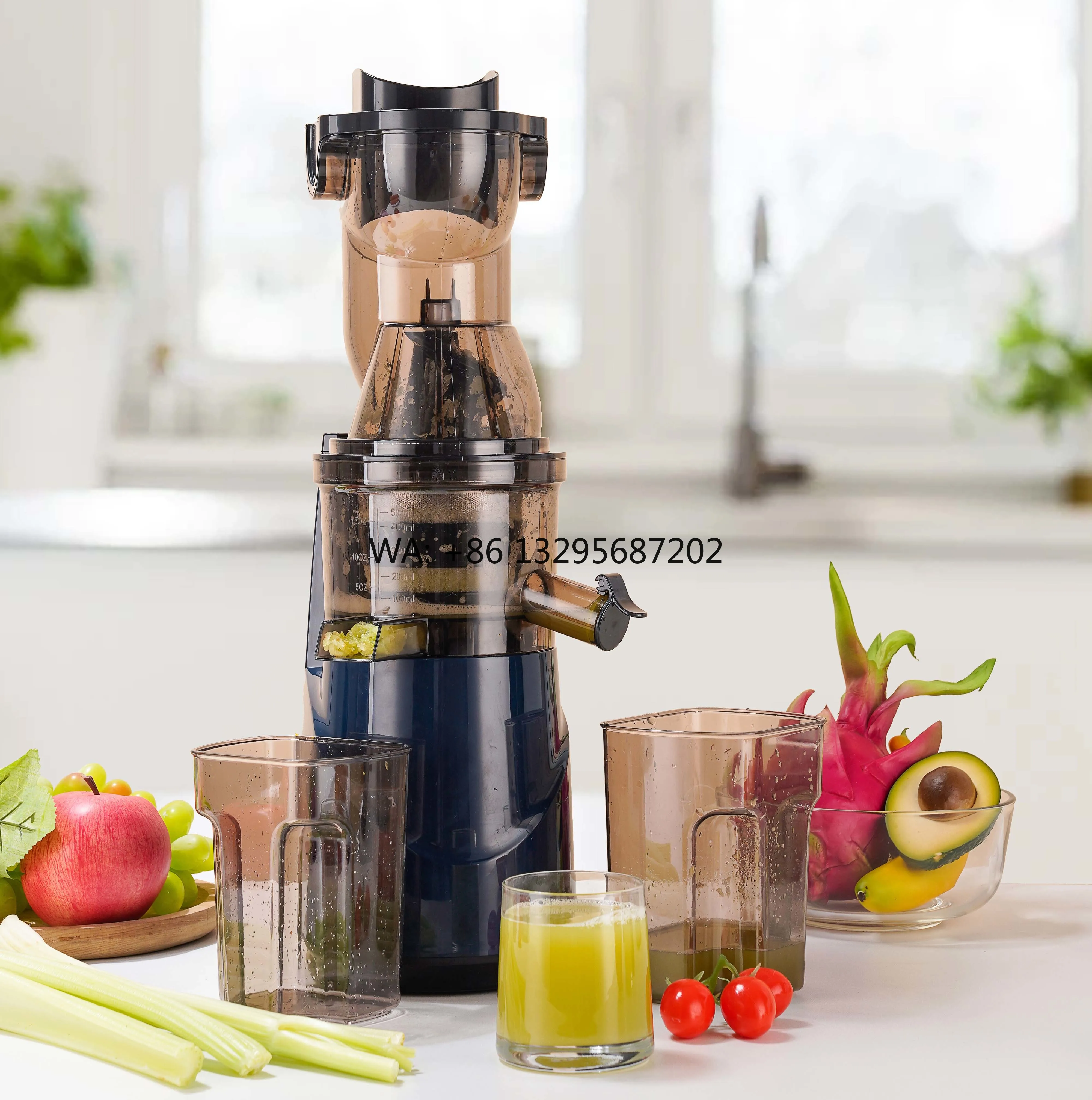 

New Model Multi-Functional Slow Juicer for Home and Business Featuring Self-Cleaning Function & Smoothie Capability for RV Use