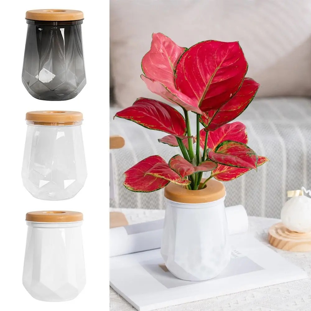 Creative Mini Hydroponic Flowerpot Transparent Diamonds Shape Plants Pots Home Decoration Desktop Ornament Box Planter