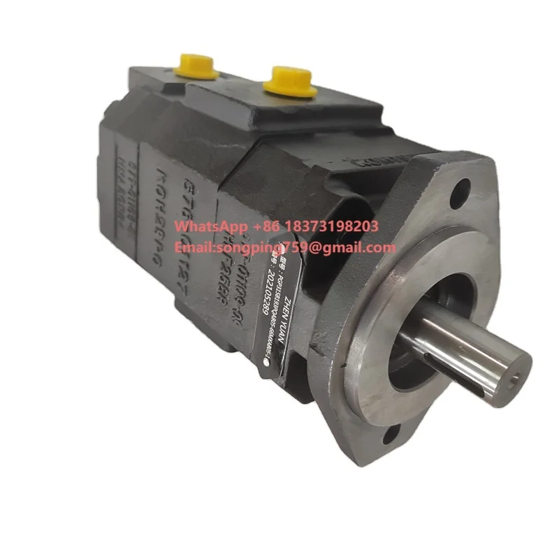 

Lainuo PGP315 PGP330 PGP350 PGP365 Series PGP315B193PQAB05-66MXAB05-1 Hydraulic Single and Multiple Pumps