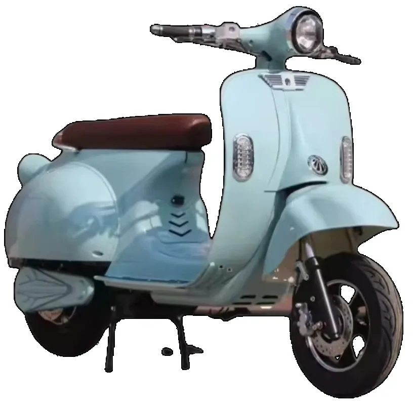 

2025 New Style Brand New Citycoco Fat Tyre Electric Scooter Lotkind Motorcycle 48V Third Gear Shift Handle Electric Bike High Vo