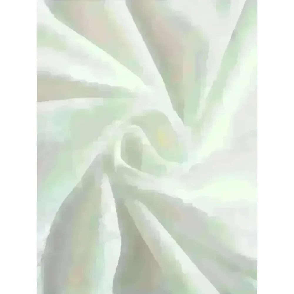 Disney Snow White Seven Dwarfs Women Men's Summer T-Shirt Cute Casual Animation Print Comfortable Short Sleeve Women Top Cotton