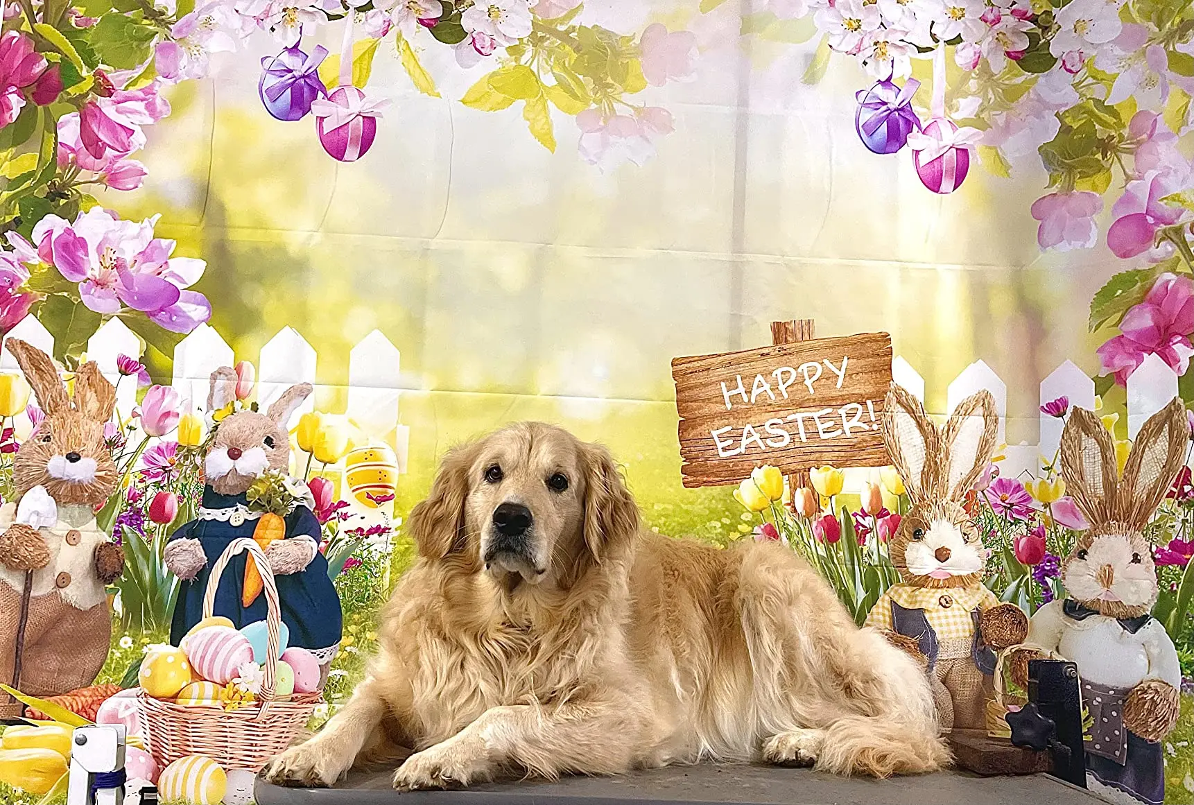 Happy Easter Banner Backdrop Colorful Wood Photography Backdrop Bunny Egg Grassland Background for Jesus Easter Spring Party