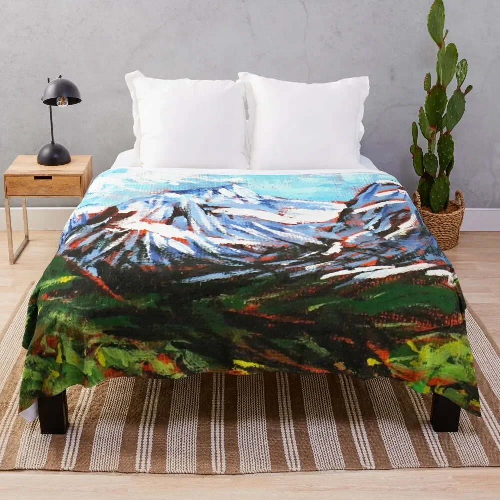 

New Zealand Mountain Art Design Throw Blanket warm for winter Weighted Shaggy Large Blankets