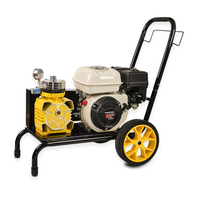 

Compact Multi-Function Paint Sprayer, Gas Powered High Pressure Airless Coating Machine for Latex Putty Spraying