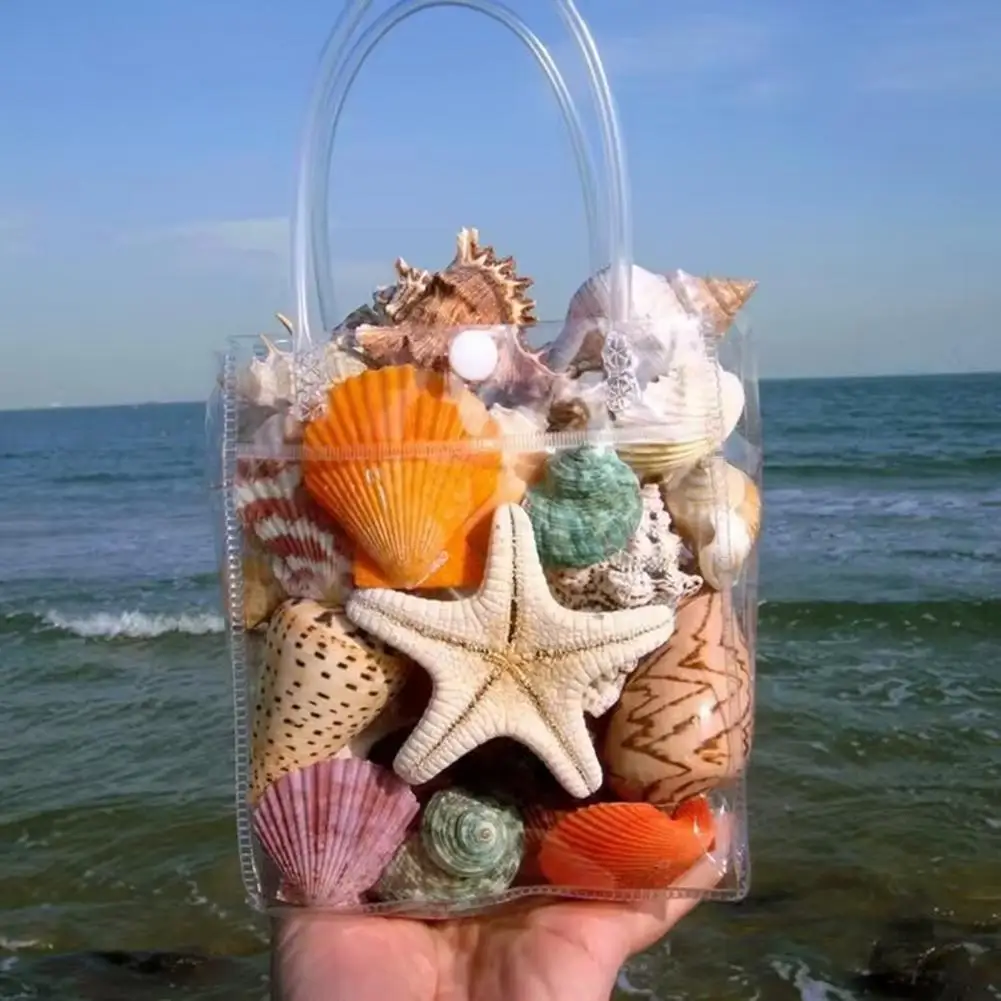 Unprocessed Seashells for Display Assorted Natural Seashells Set for Diy Crafts Beach Theme Party Home Decor Mixed for Fish