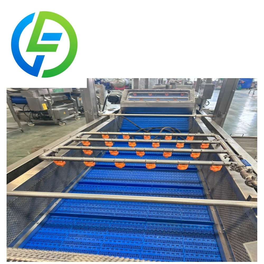 Large Package Vegetable Cleaning and Drying Cutting Line Vegetable Washing Equipment