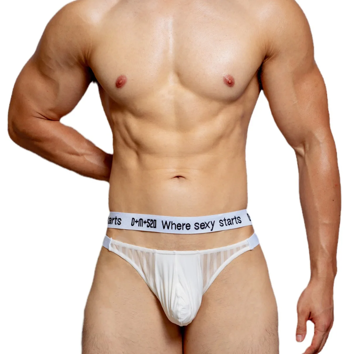 

Male Sexy Gay Sissy Erotic Briefs Men's Trendy Low Waist Solid Color Mesh Personality Popular Breathable Nylon Thin Transparent