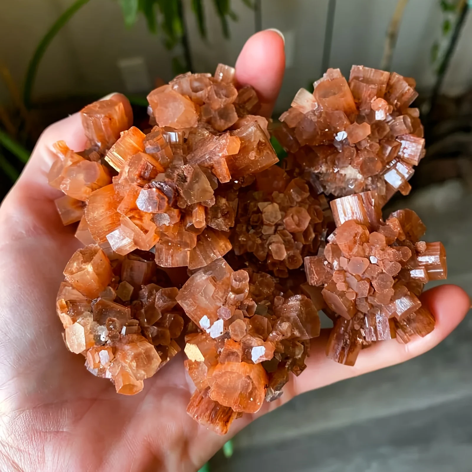 1pc/3pcs Natural Aragonite Flower Cluster Crystal, Orange-Red Raw Crystal Specimen for DIY Jewelry Making, Home & Aquarium Decor
